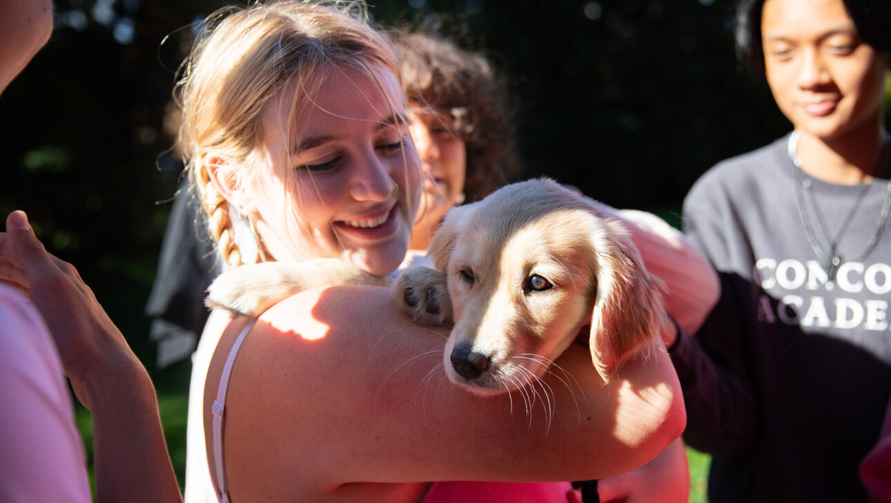 A person holds a puppy while others stand nearby outdoors in a sunlit area.