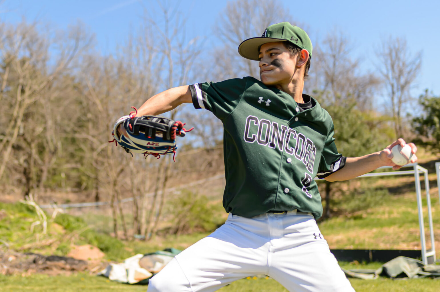 A baseball player in a green uniform prepares to throw a pitch outdoors on a sunny day, with a grassy field and trees in the background.